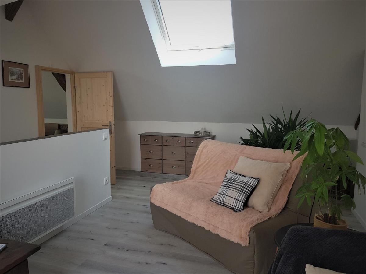 Ferienwohnung Au Gre De L'Ill "Les Toits D'Horbourg" Exterior foto
