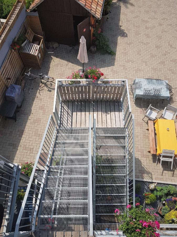 Ferienwohnung Au Gre De L'Ill "Les Toits D'Horbourg" Exterior foto