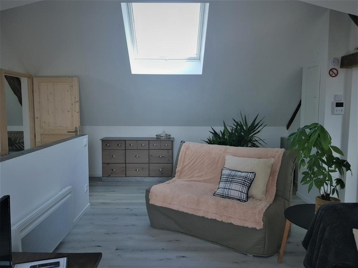Ferienwohnung Au Gre De L'Ill "Les Toits D'Horbourg" Exterior foto