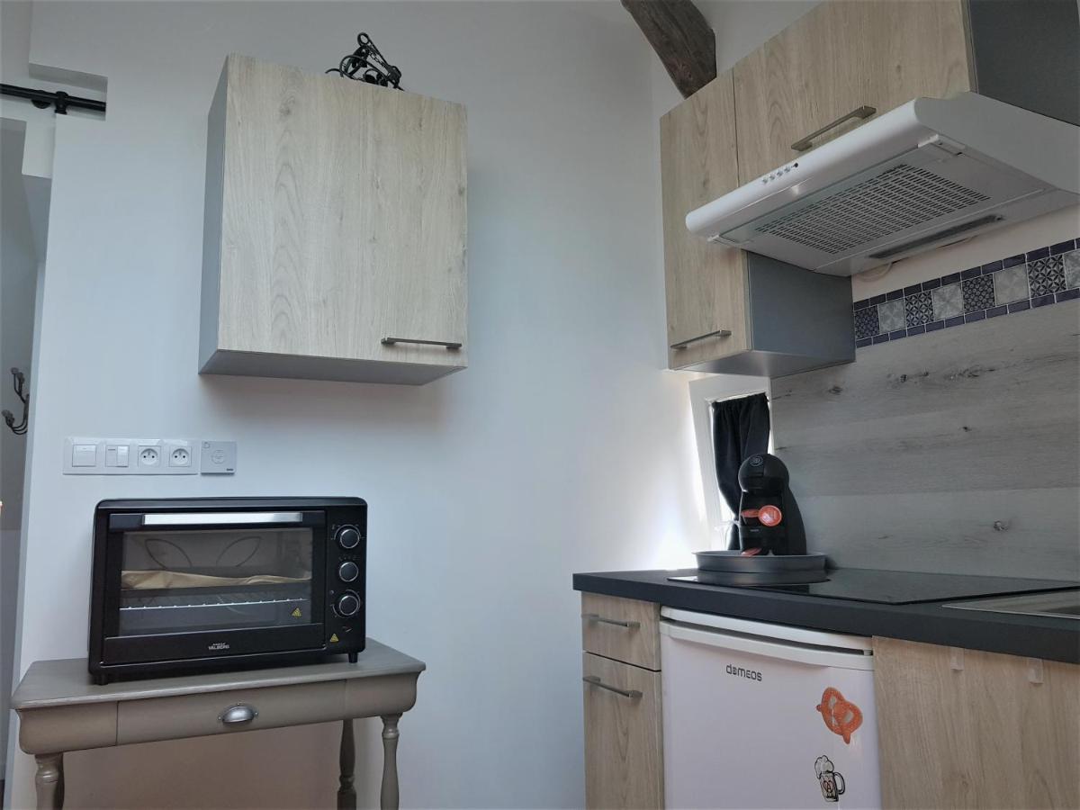 Ferienwohnung Au Gre De L'Ill "Les Toits D'Horbourg" Exterior foto