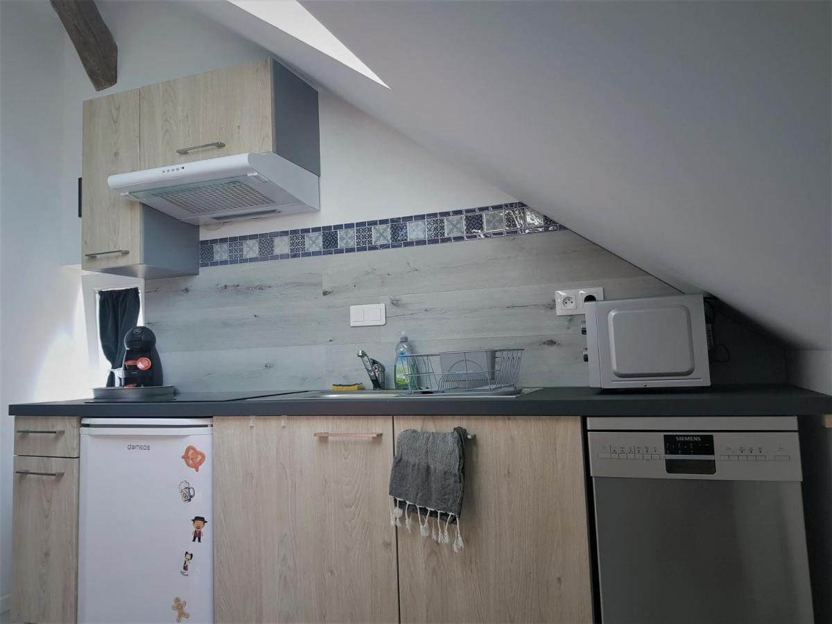 Ferienwohnung Au Gre De L'Ill "Les Toits D'Horbourg" Exterior foto